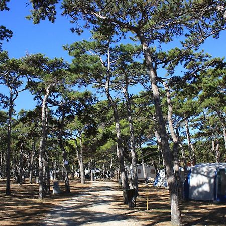 מלון Ražanac Camping Planik מראה חיצוני תמונה