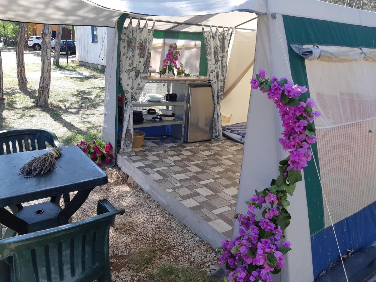 מלון Ražanac Camping Planik מראה חיצוני תמונה
