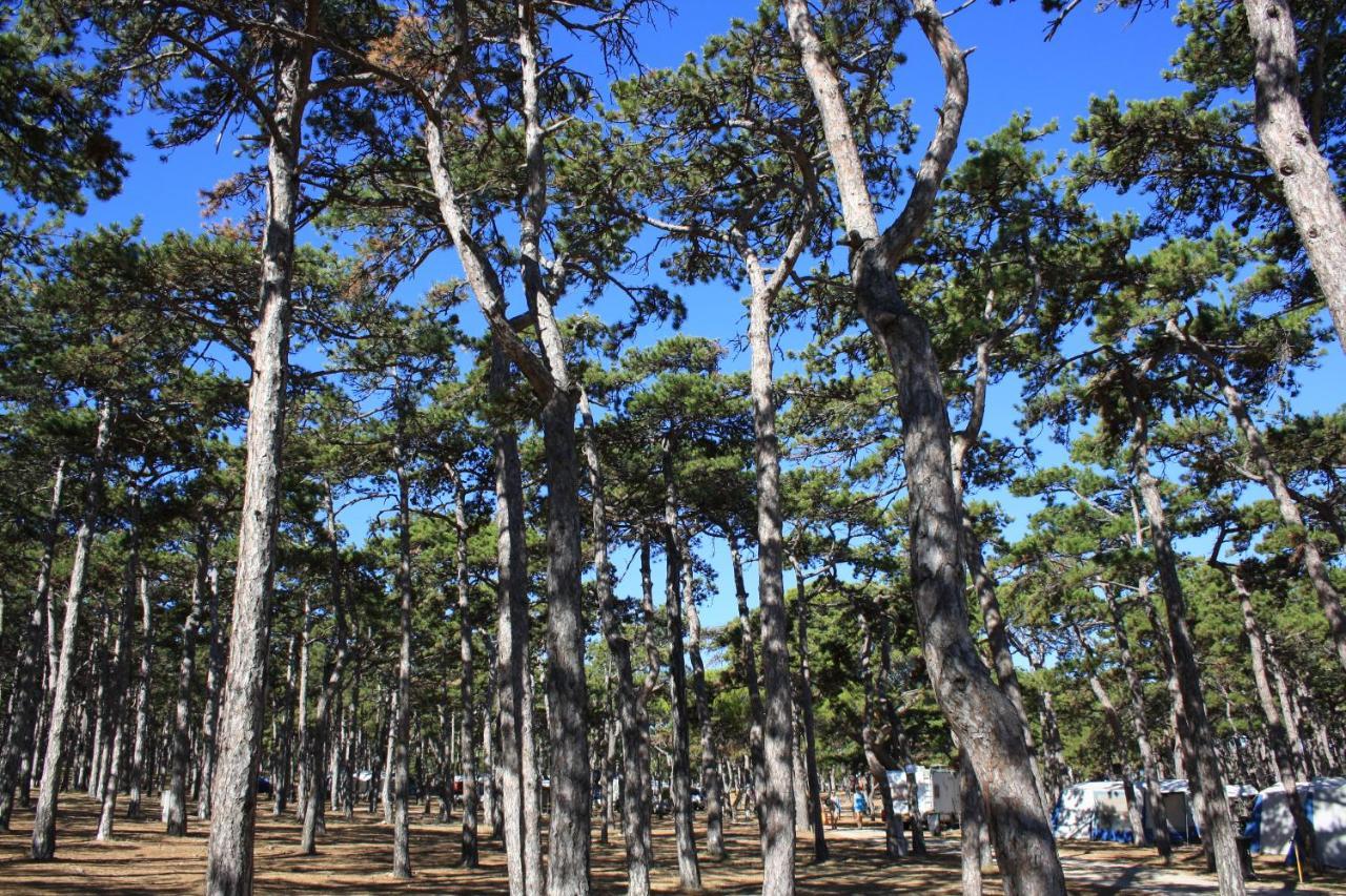 מלון Ražanac Camping Planik מראה חיצוני תמונה
