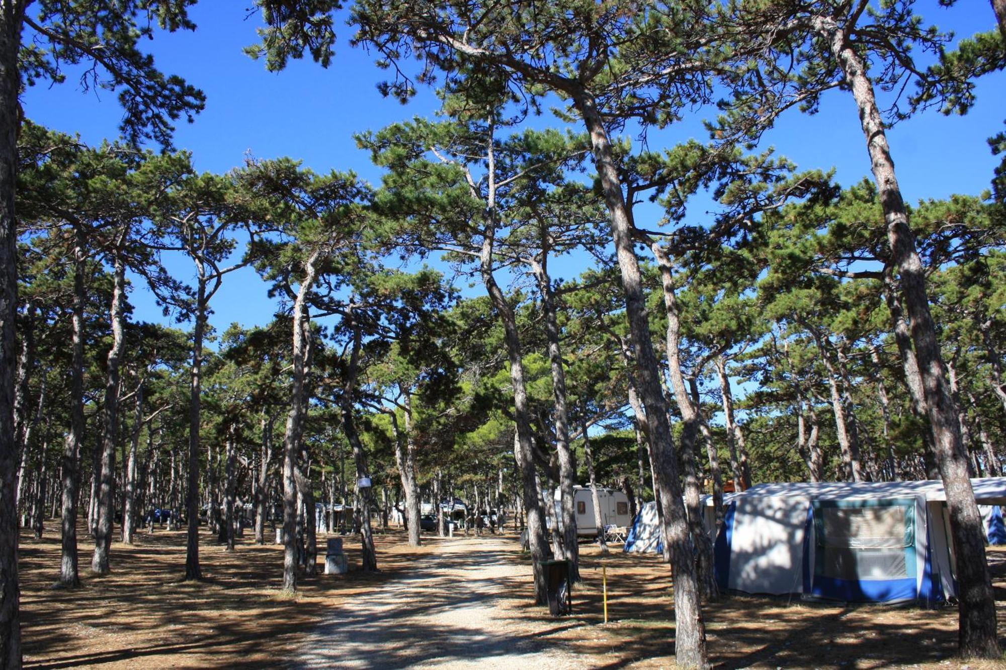 מלון Ražanac Camping Planik מראה חיצוני תמונה